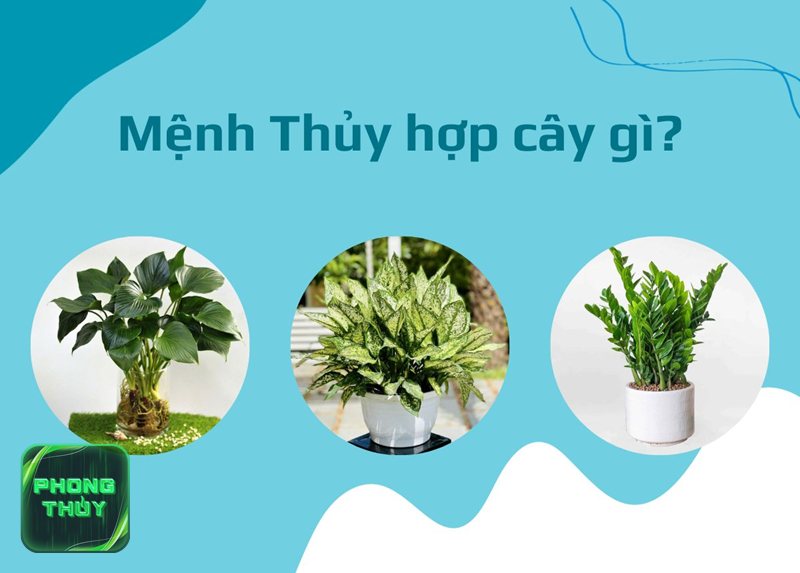 Phong thủy hướng bếp Nam - Tách hợp lý khu nấu và khu rửa