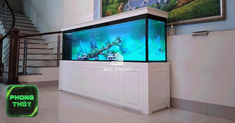 Phong thủy hướng cửa chính Tây - Xem Đông Tứ Mệnh và Tây Tứ Mệnh