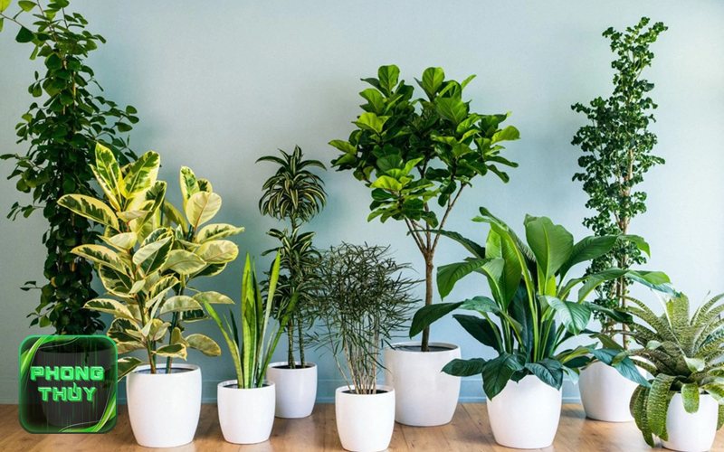 Phong thủy hướng nhà Đông Bắc - Đông Bắc trong hệ thống phương vị truyền thống