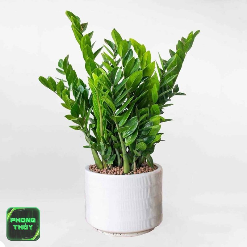 Phong thủy hướng nhà Tây Nam - Bố trí bếp