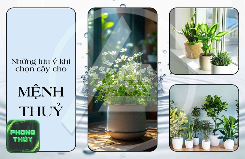 Phong thủy màu đỏ mệnh Hỏa - Dùng màu trung tính để giảm cảm giác nóng