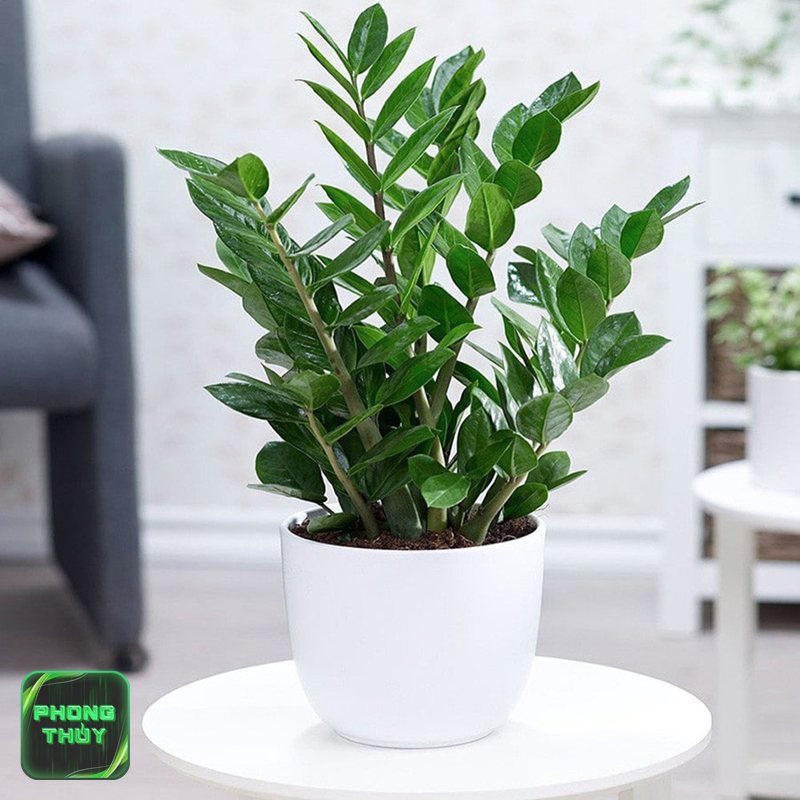 Tượng phong thủy mệnh Kim - Chất liệu nào phù hợp?